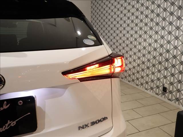 TOYOTA LEXUS NX300h AWD 2018