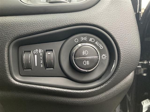 JEEP JEEP Renegade 2020