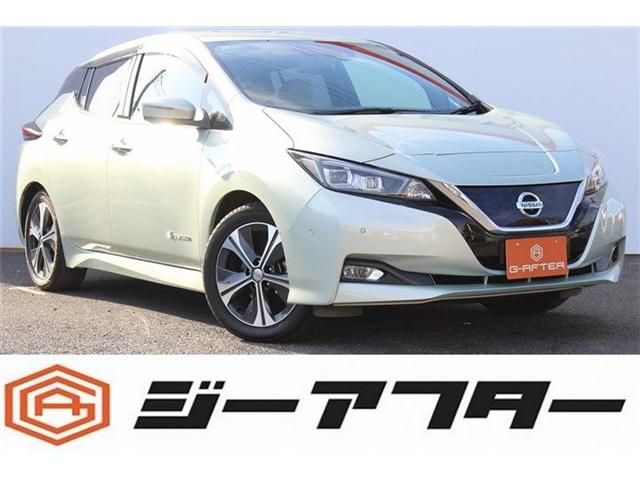NISSAN LEAF 2018