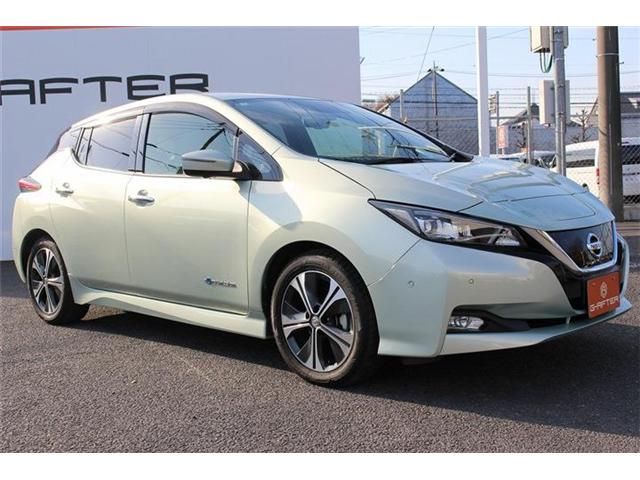 NISSAN LEAF 2018