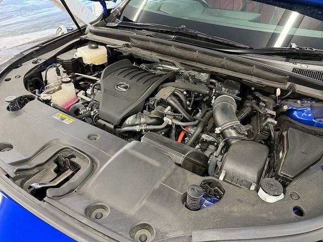 TOYOTA LEXUS RX500h 2023