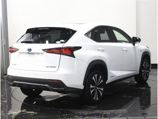 TOYOTA LEXUS NX300h AWD 2019
