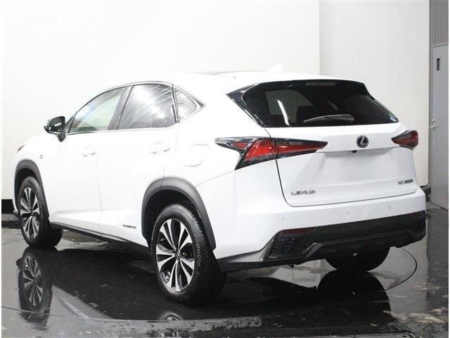 TOYOTA LEXUS NX300h AWD 2019
