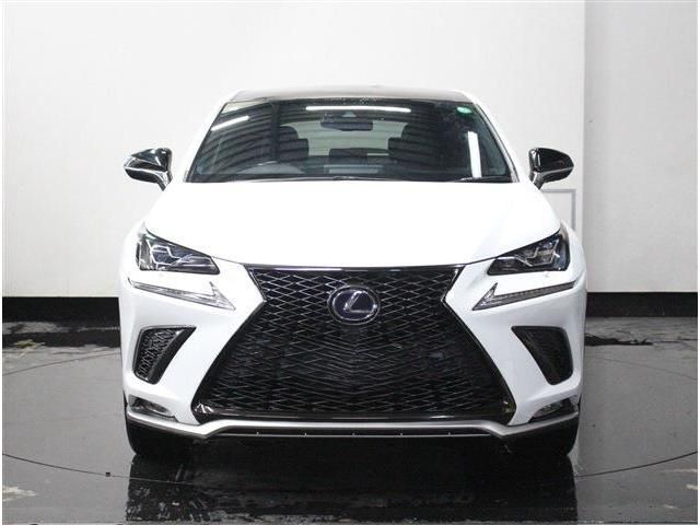 TOYOTA LEXUS NX300h AWD 2019