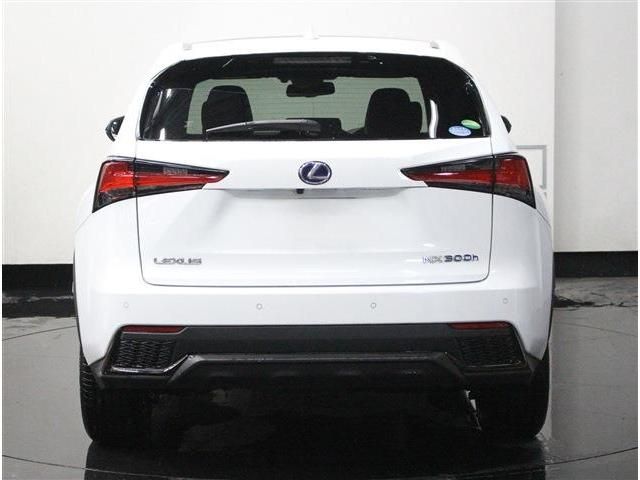 TOYOTA LEXUS NX300h AWD 2019