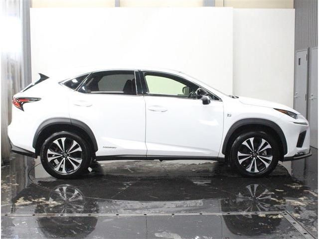 TOYOTA LEXUS NX300h AWD 2019