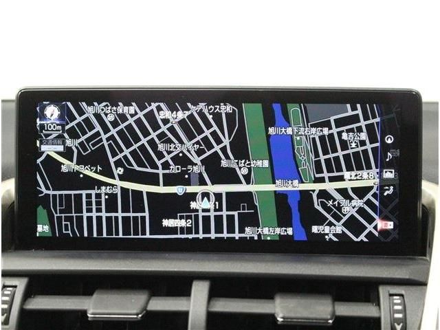 TOYOTA LEXUS NX300h AWD 2019