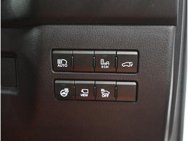 TOYOTA LEXUS NX300h AWD 2019