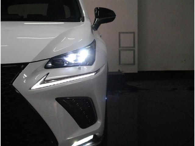 TOYOTA LEXUS NX300h AWD 2019