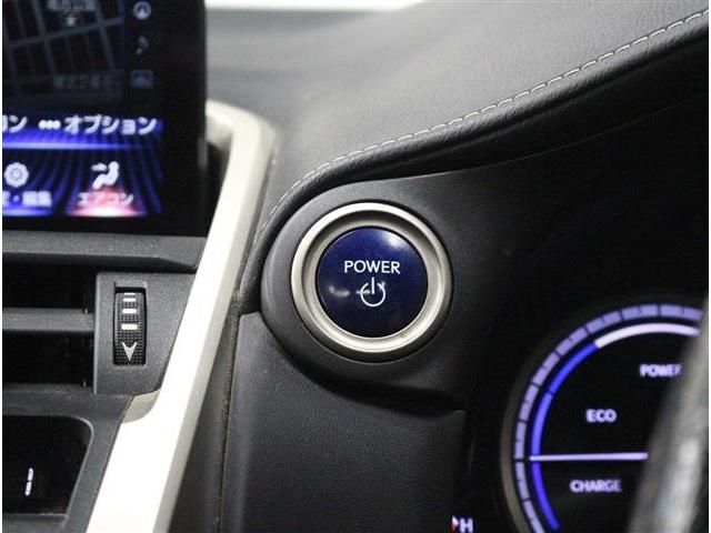 TOYOTA LEXUS NX300h AWD 2019