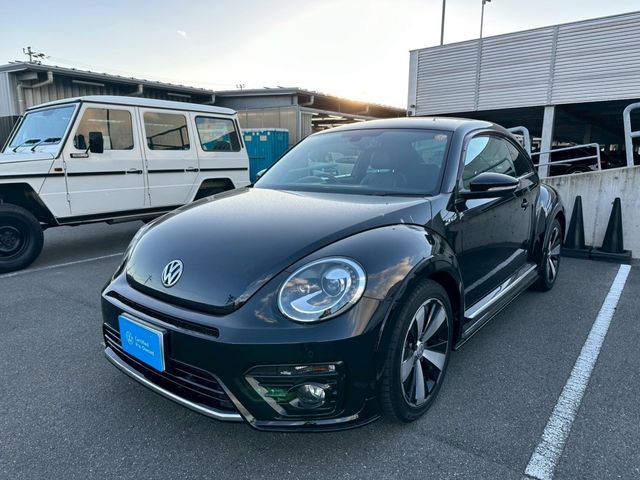 VOLKSWAGEN VOLKSWAGEN The BEETLE 2019