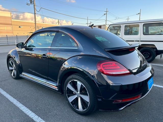 VOLKSWAGEN VOLKSWAGEN The BEETLE 2019