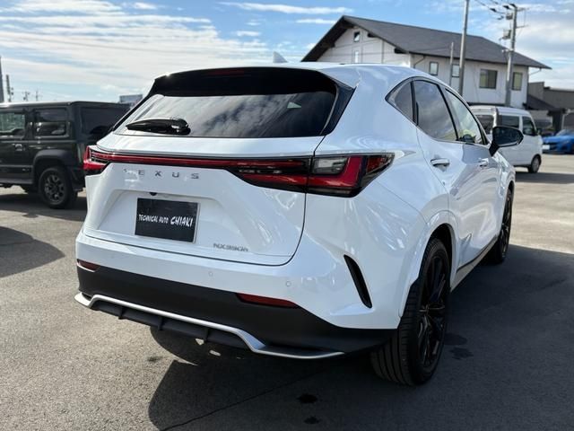TOYOTA LEXUS NX350h 2023
