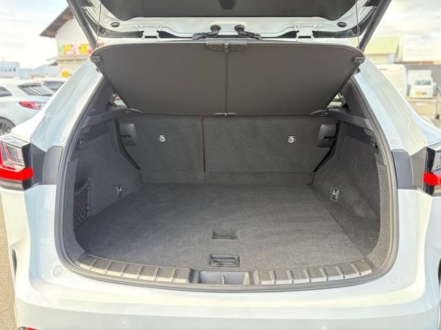 TOYOTA LEXUS NX350h 2023