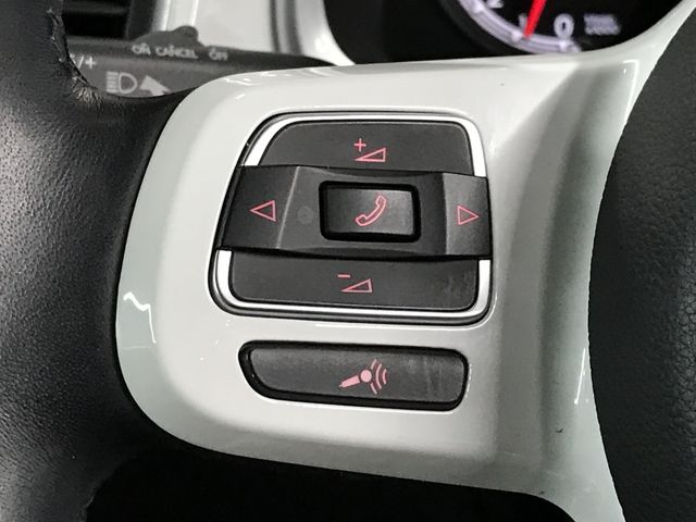 VOLKSWAGEN VOLKSWAGEN The BEETLE 2019