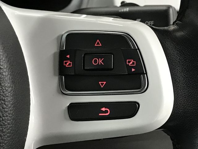 VOLKSWAGEN VOLKSWAGEN The BEETLE 2019