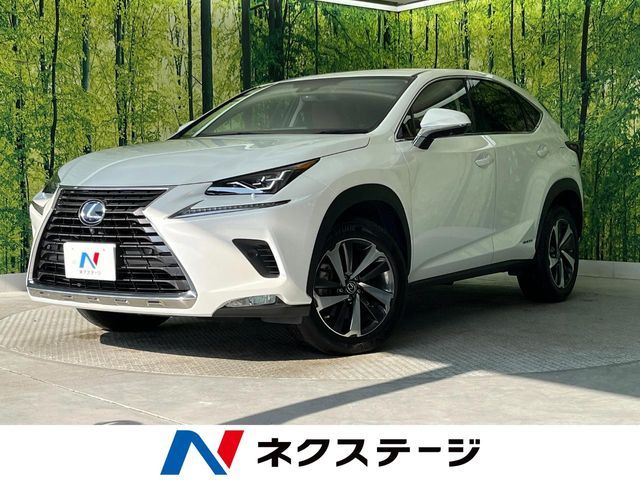 TOYOTA LEXUS NX300h 2019