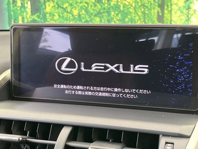 TOYOTA LEXUS NX300h 2019