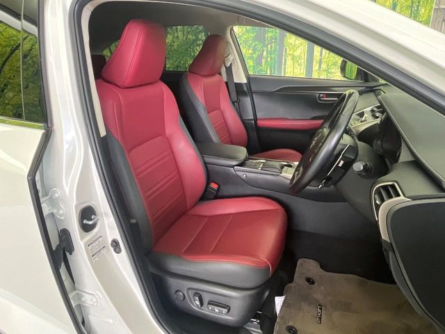 TOYOTA LEXUS NX300h 2019