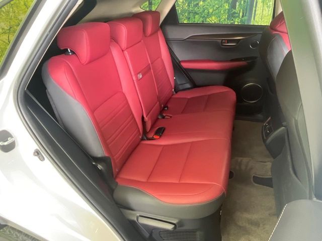 TOYOTA LEXUS NX300h 2019