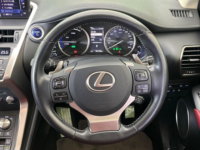 TOYOTA LEXUS NX300h 2019