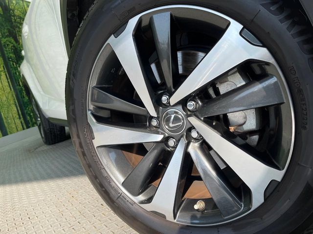 TOYOTA LEXUS NX300h 2019