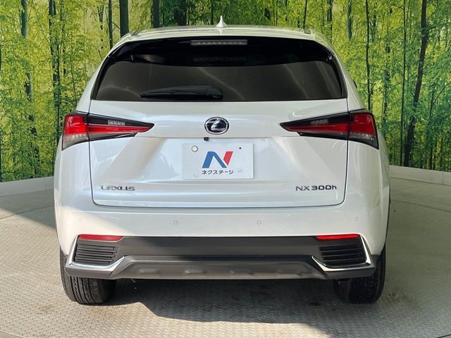 TOYOTA LEXUS NX300h 2019