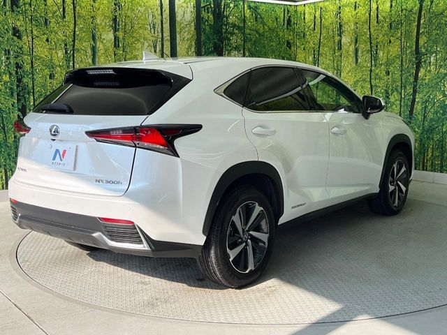 TOYOTA LEXUS NX300h 2019