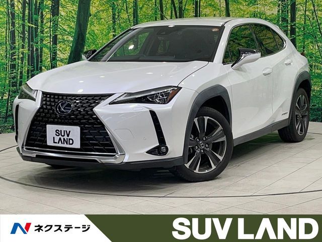 TOYOTA LEXUS UX250h 2020