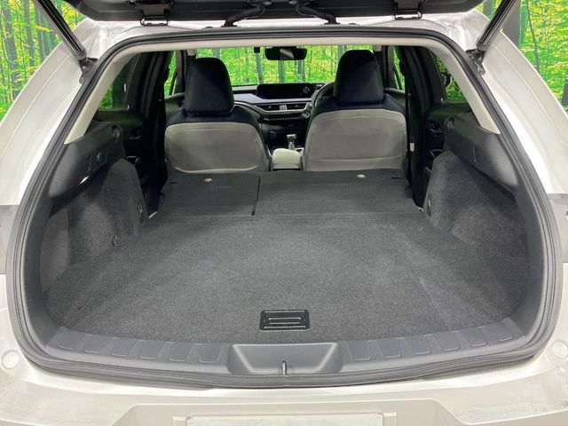 TOYOTA LEXUS UX250h 2020