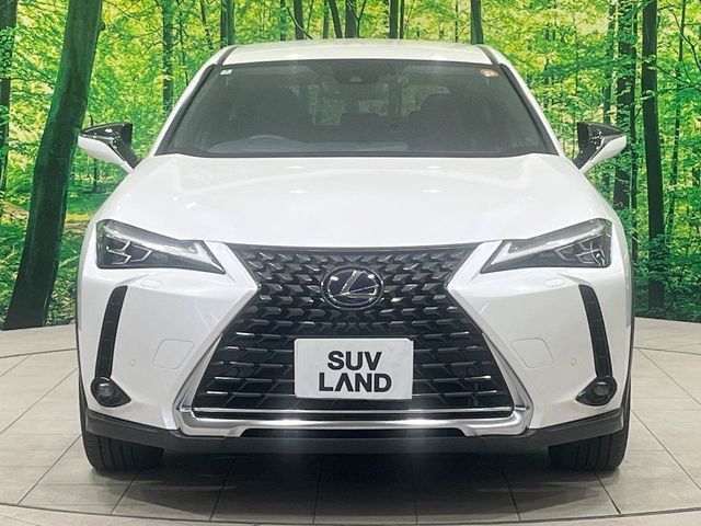 TOYOTA LEXUS UX250h 2020