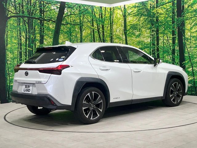 TOYOTA LEXUS UX250h 2020
