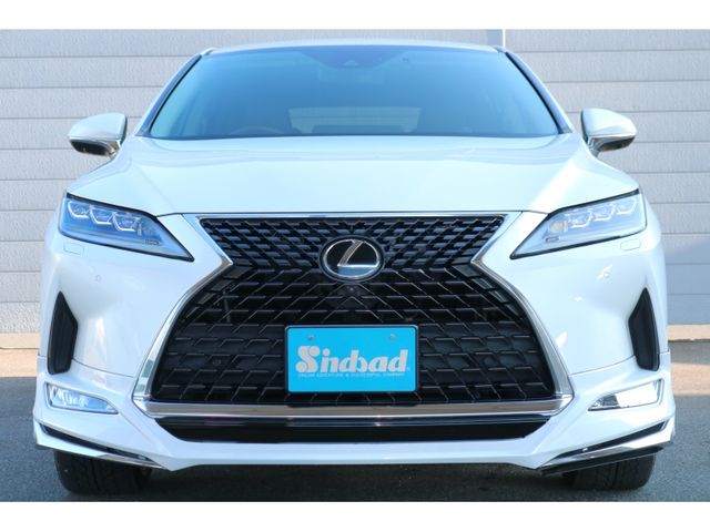 TOYOTA LEXUS RX300 2020