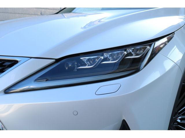 TOYOTA LEXUS RX300 2020