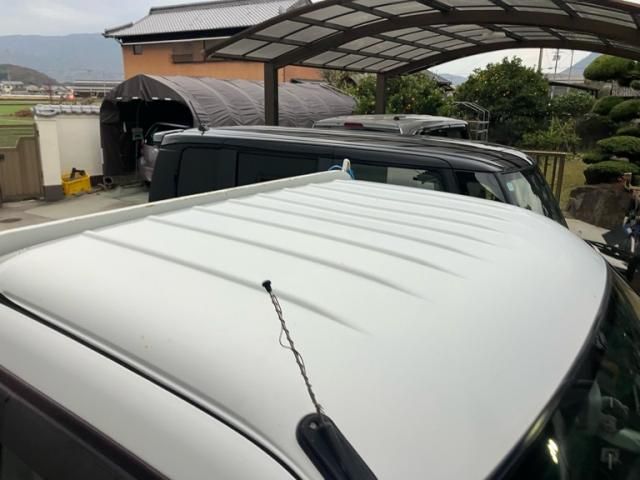 DAIHATSU HIJET truck 4WD 2007