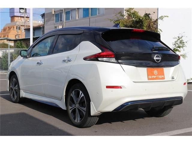 NISSAN LEAF 2020