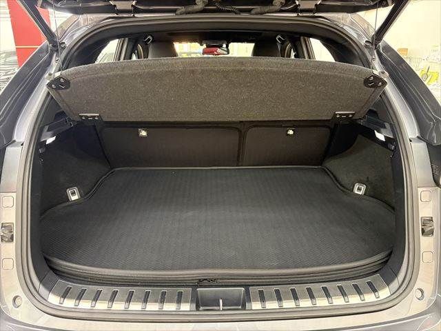 TOYOTA LEXUS NX300h 2018