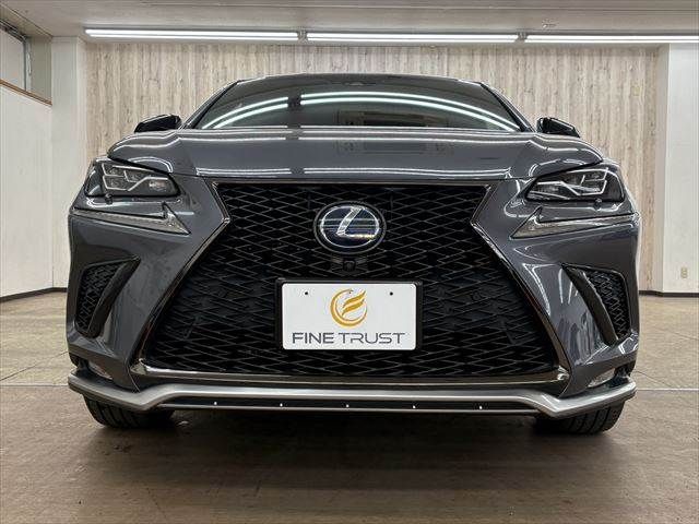 TOYOTA LEXUS NX300h 2018