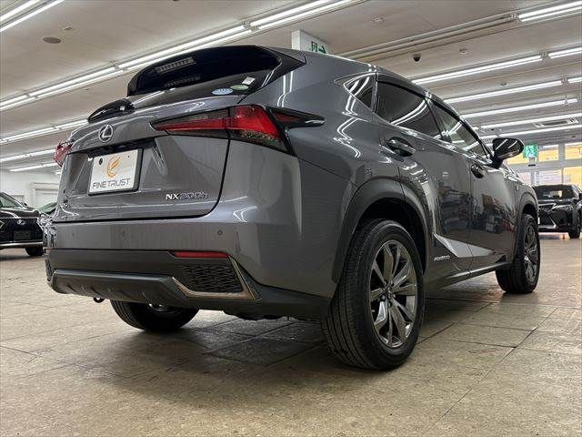 TOYOTA LEXUS NX300h 2018