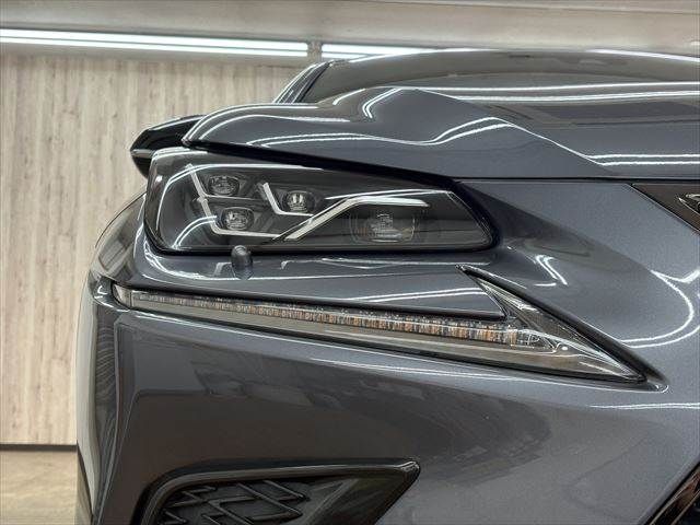 TOYOTA LEXUS NX300h 2018