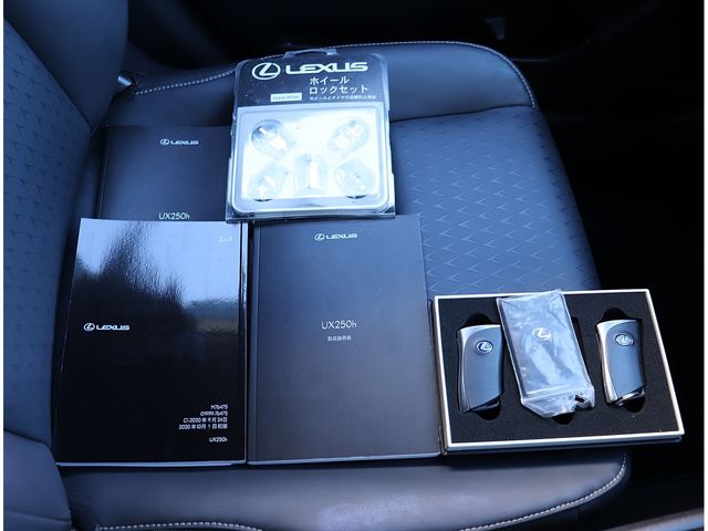 TOYOTA LEXUS UX250h 2020