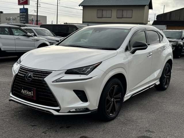 TOYOTA LEXUS NX300h 2020