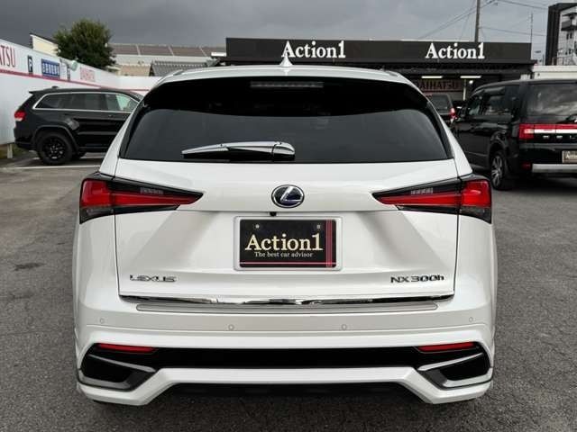 TOYOTA LEXUS NX300h 2020