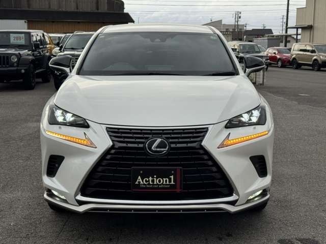 TOYOTA LEXUS NX300h 2020