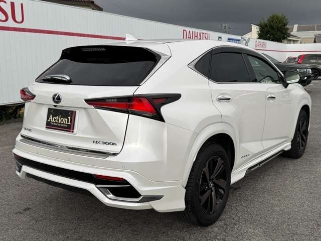 TOYOTA LEXUS NX300h 2020