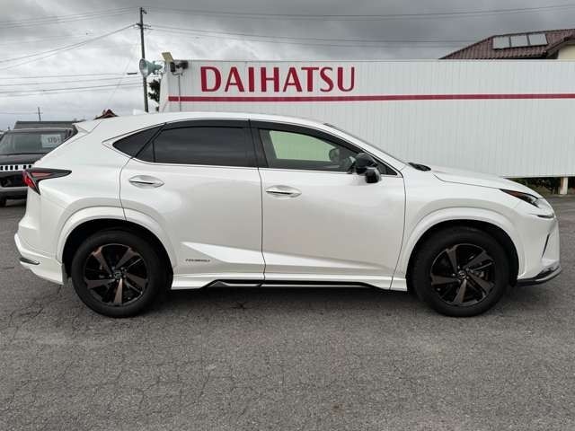 TOYOTA LEXUS NX300h 2020