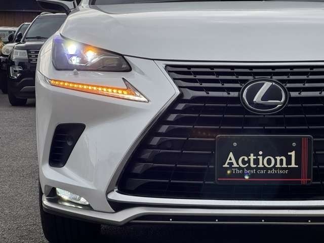 TOYOTA LEXUS NX300h 2020