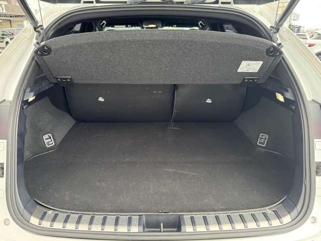 TOYOTA LEXUS NX300h 2020