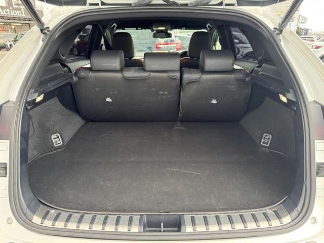 TOYOTA LEXUS NX300h 2020