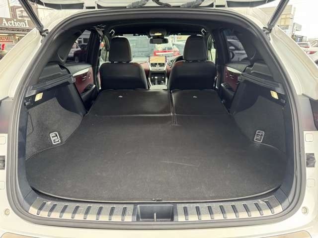 TOYOTA LEXUS NX300h 2020